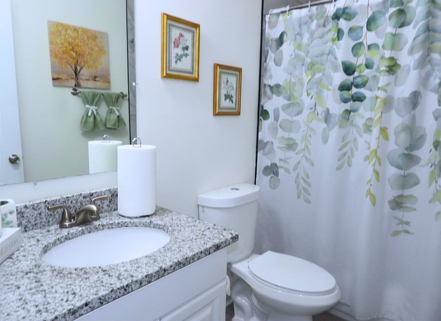 Guest bathroom