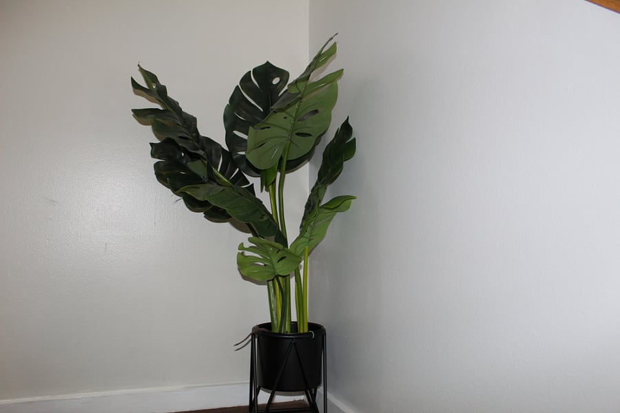 Furnished Finder property 1007696_1 photo 23