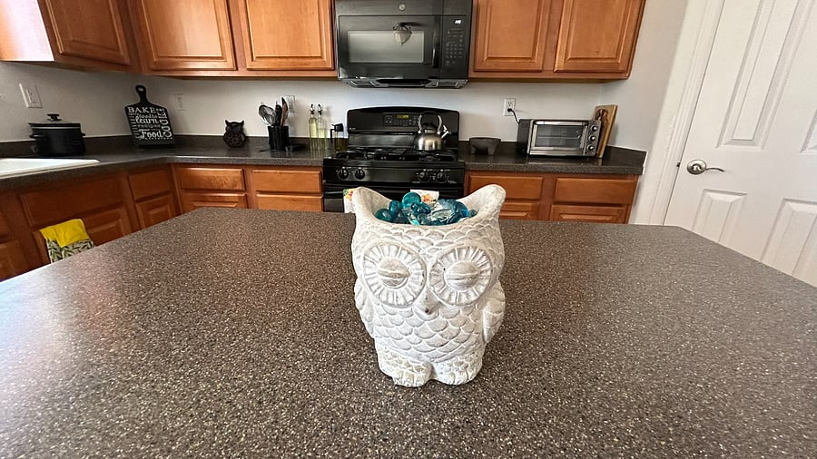 Furnished Finder property 1007711_1 photo 35