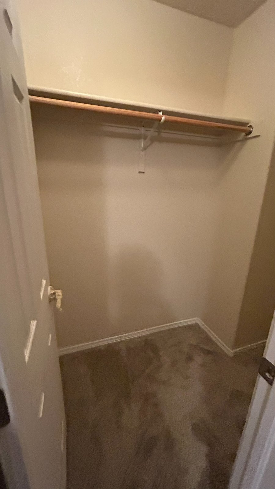 Furnished Finder property 1007711_1 photo 41