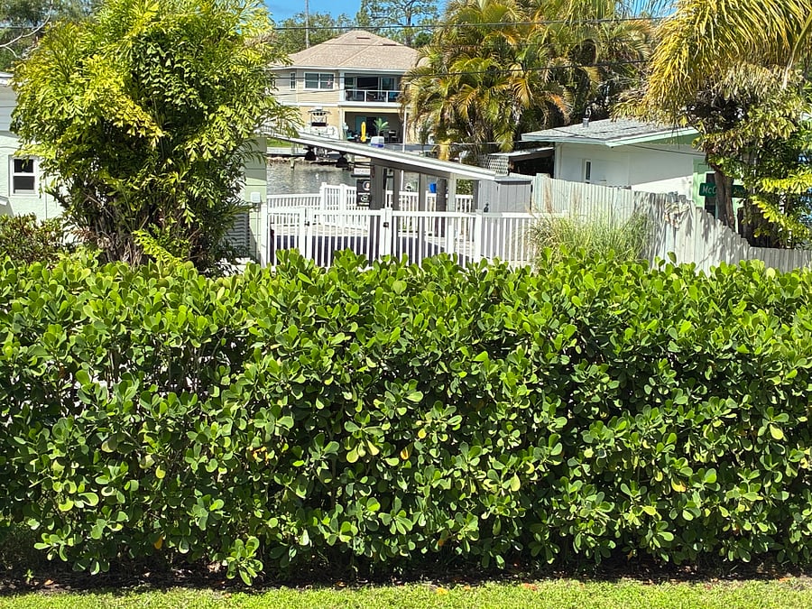 Furnished Finder property 1007759_1 photo 19