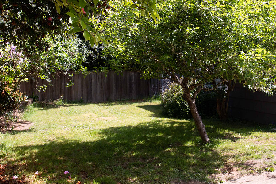 Furnished Finder property 1007771_1 photo 30