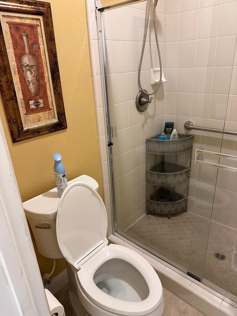 Furnished Finder property 1007789_1 photo 10