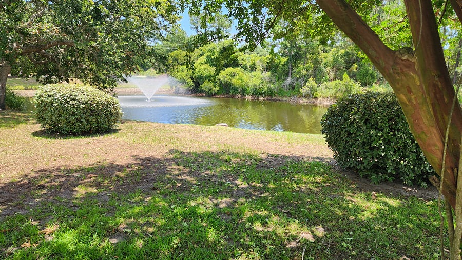 Furnished Finder property 1007824_1 photo 4