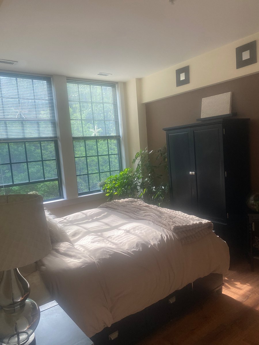 Furnished Finder property 1007827_1 photo 5