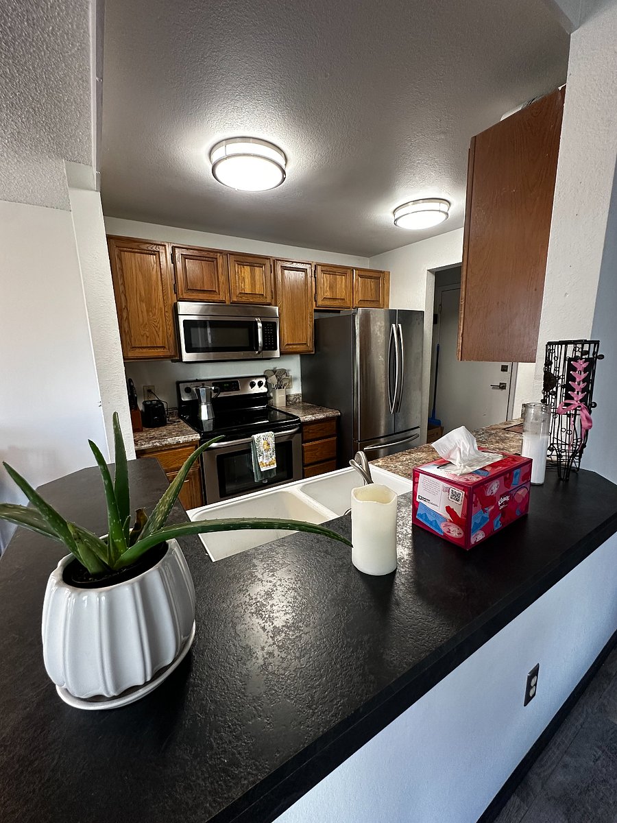 Furnished Finder property 1007847_1 photo 3