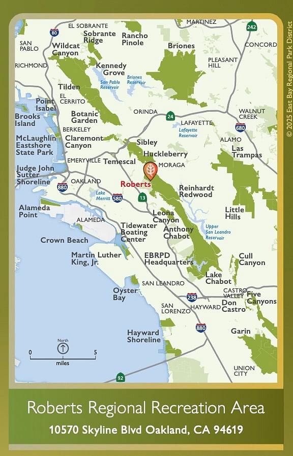 Nearby Regional Parks Include Joaquin Miller, Roberts, Reinhardt, Chabot, Sibley Volcanic, Leona Heights. Lots of Trails to Explore!