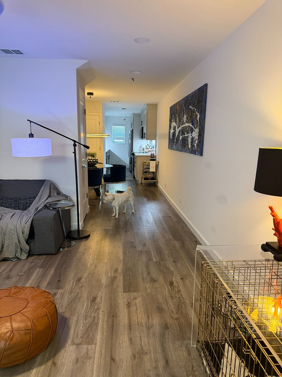 Furnished Finder property 1007880_1 photo 8