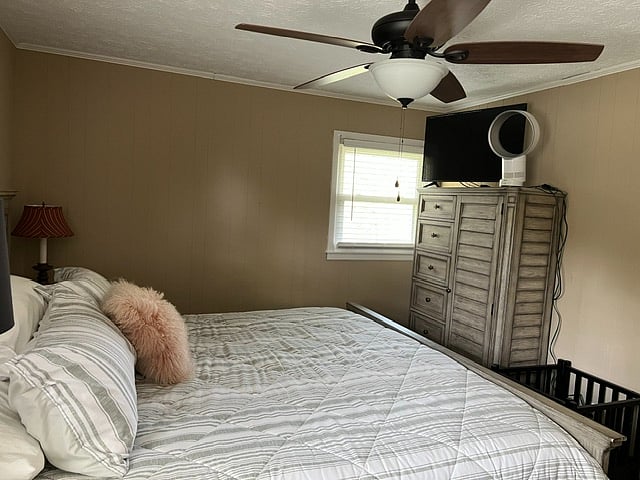 Furnished Finder property 1007923_1 photo 11