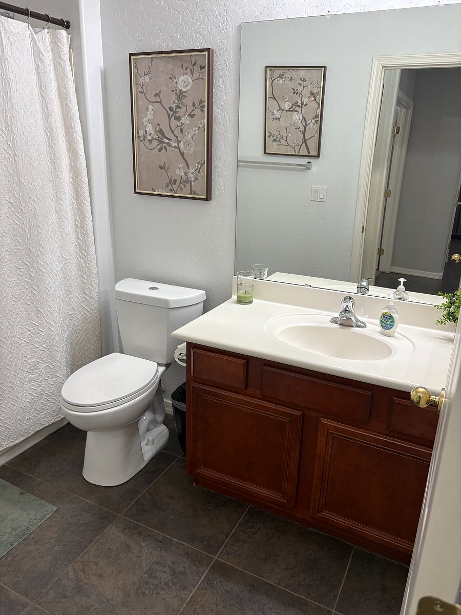 Furnished Finder property 1007929_1 photo 15