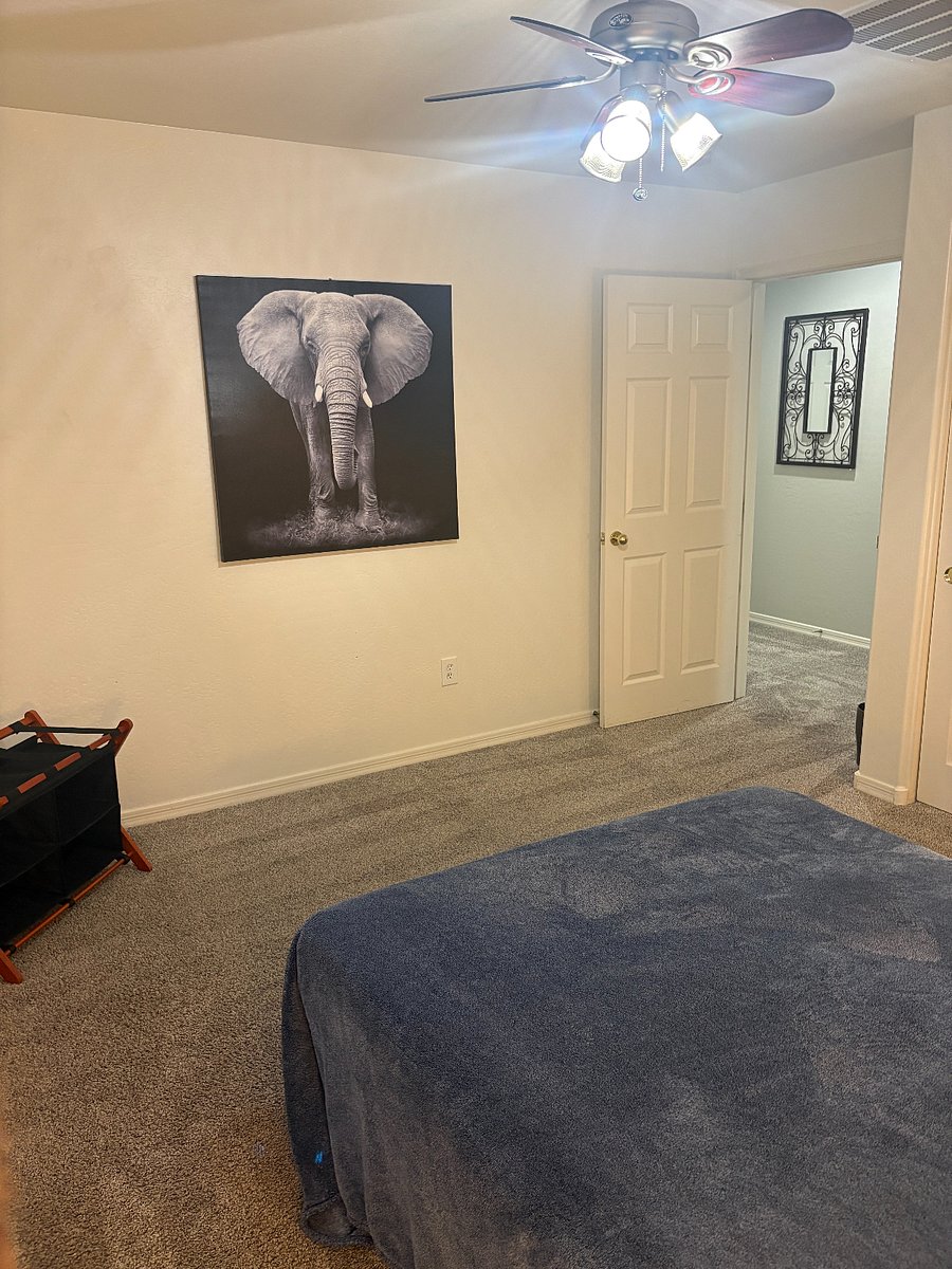 Furnished Finder property 1007929_1 photo 33