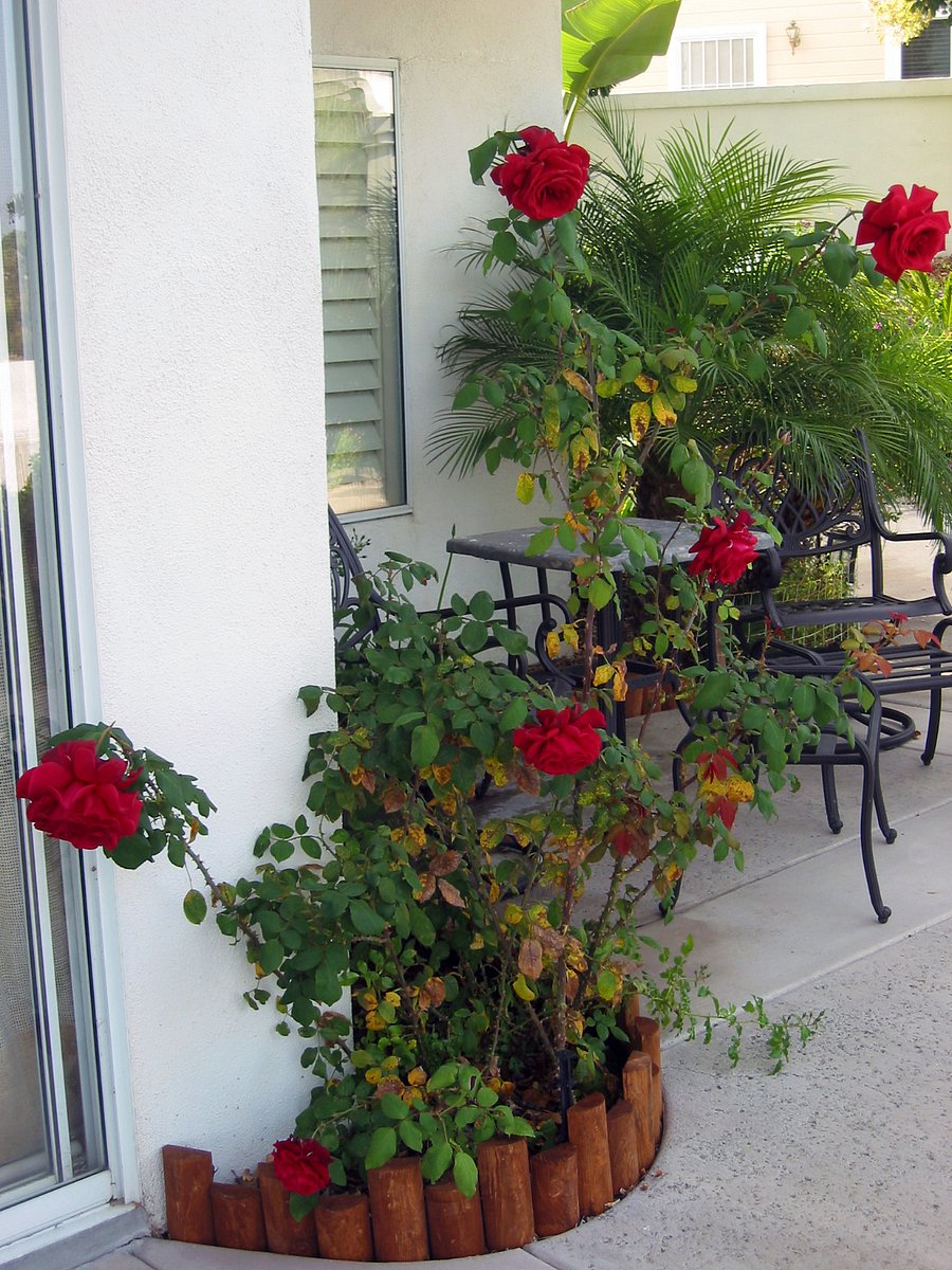Furnished Finder property 1007943_1 photo 14