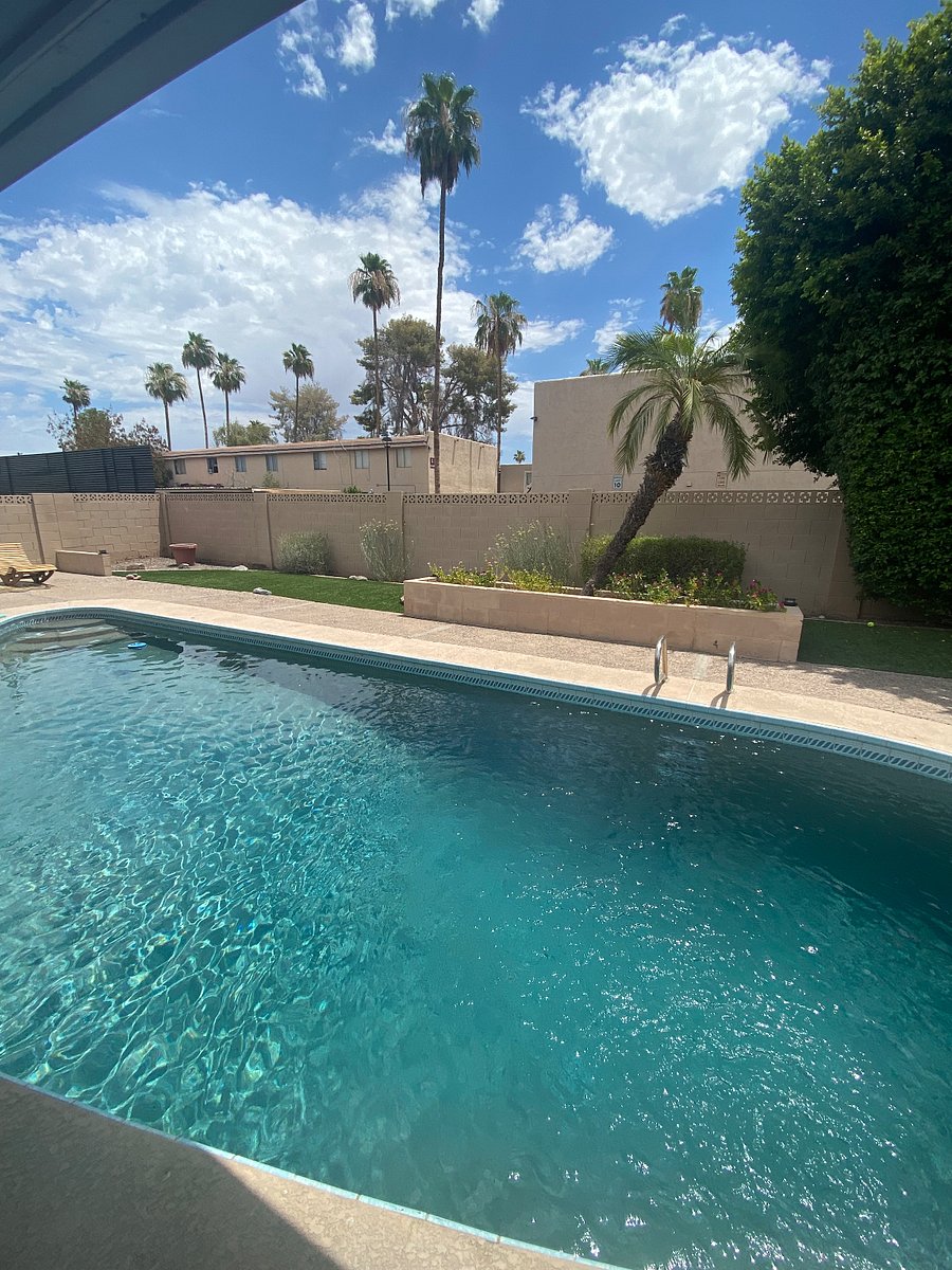 Sparkling pool, plenty deep for diving.