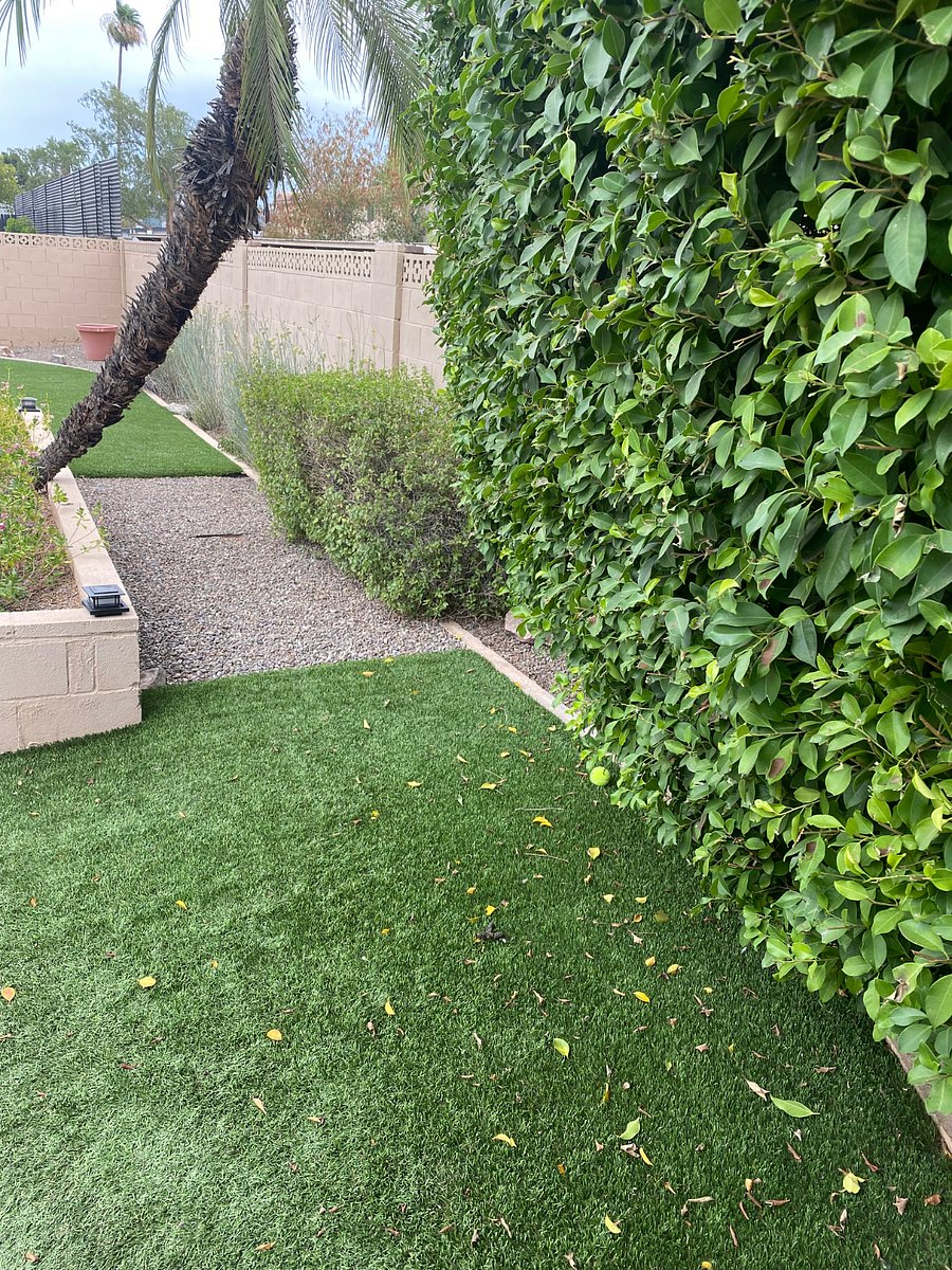 Lots of room if you have a dog to play and explore.
