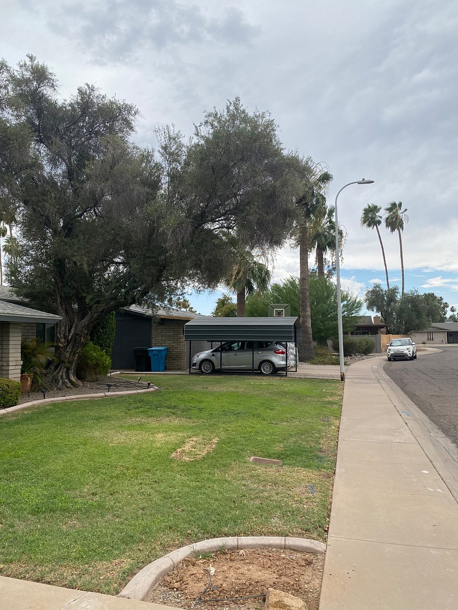 View from the front yard down the street.
