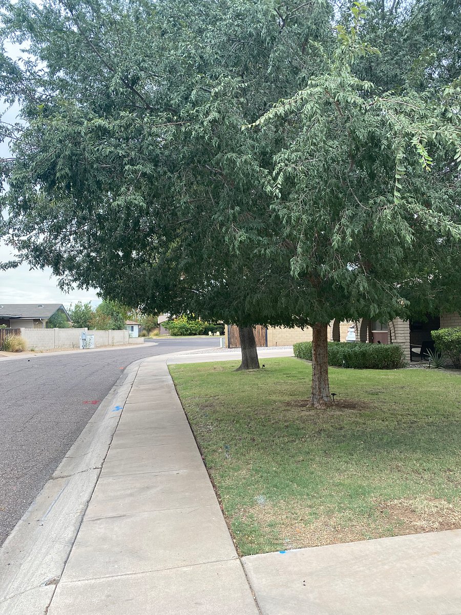 View down the other side of the street.