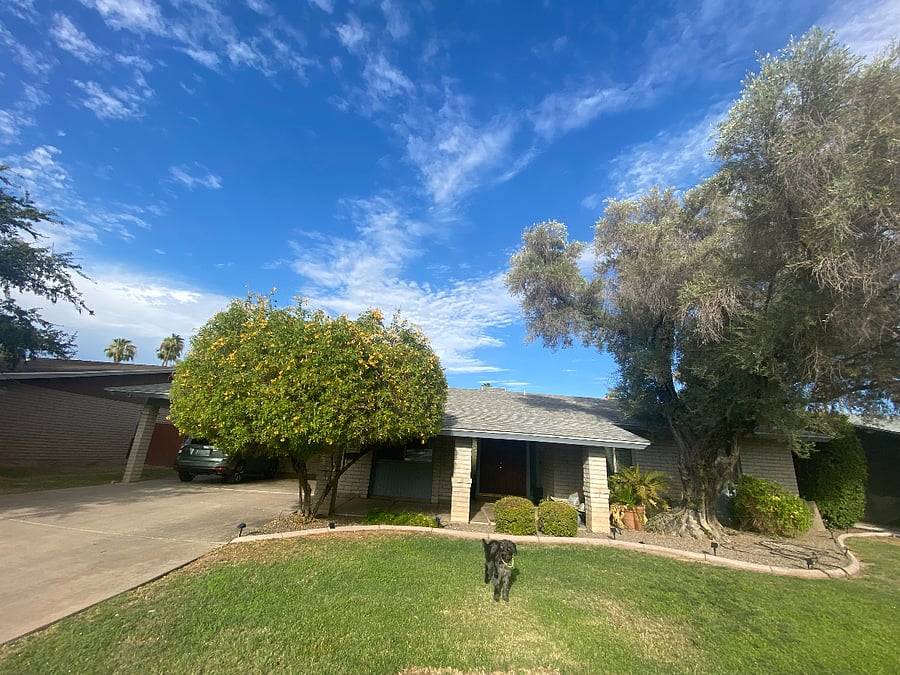 Furnished Finder property 1007951_1 photo 22