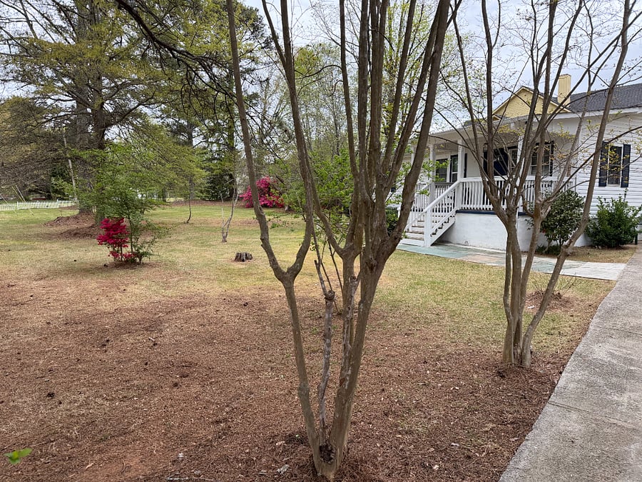 Furnished Finder property 1007968_1 photo 10