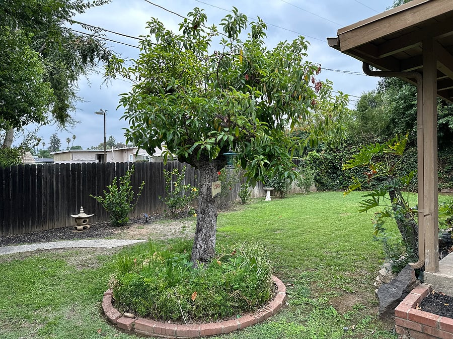 Furnished Finder property 1008026_1 photo 19