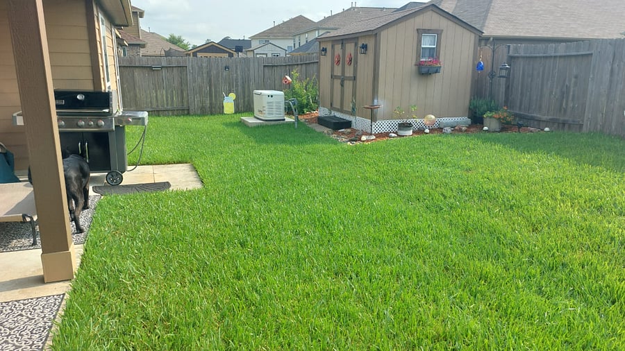 Furnished Finder property 1008202_1 photo 6