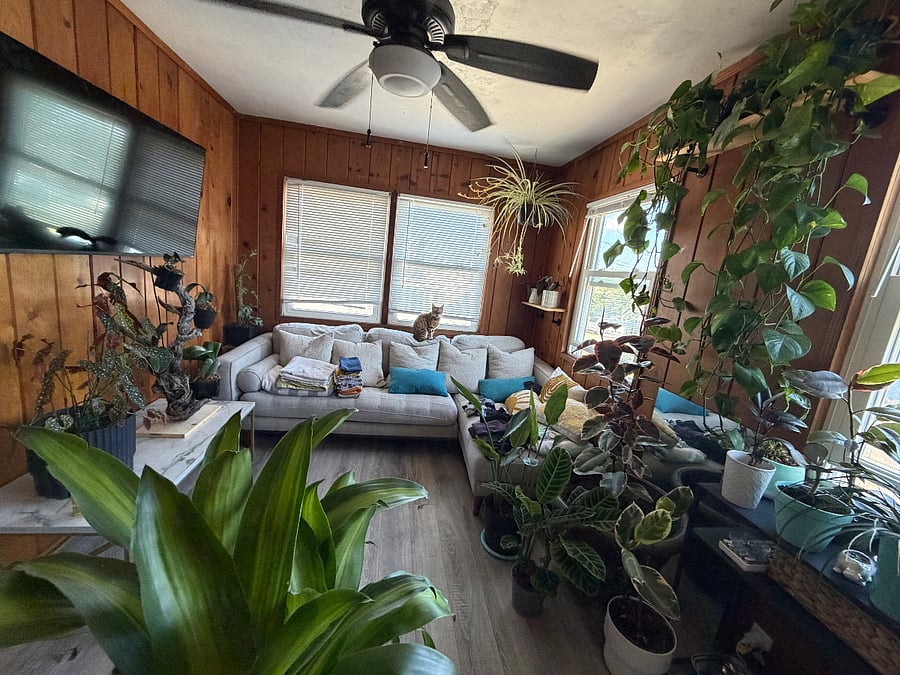 Furnished Finder property 1008207_1 photo 7
