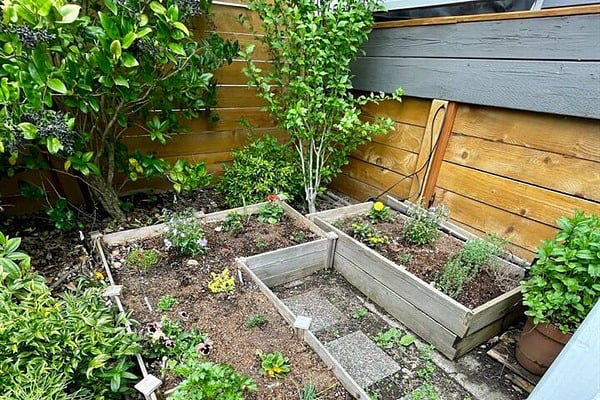 Herb garden for your use