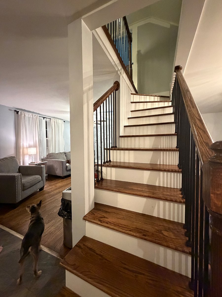 Furnished Finder property 1008228_1 photo 21