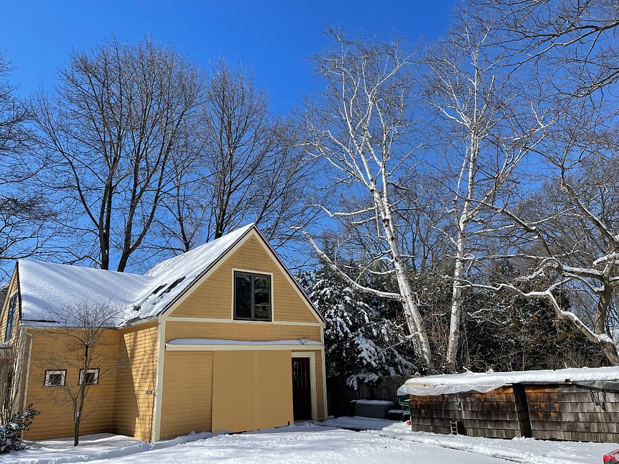 Backyard in Winter