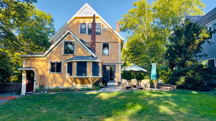 Backyard in Summer