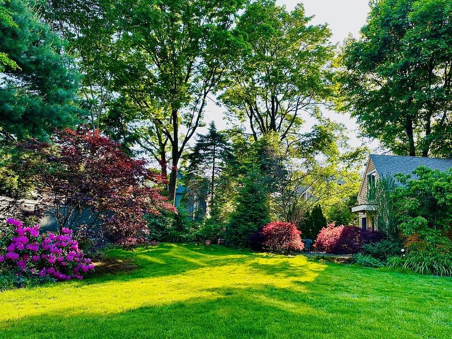 Large private backyard, with many places to sit and relax