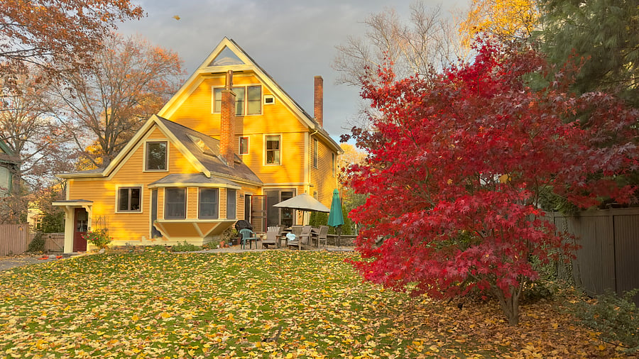 Backyard in Autumn
