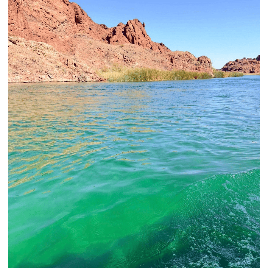 Lake Havasu