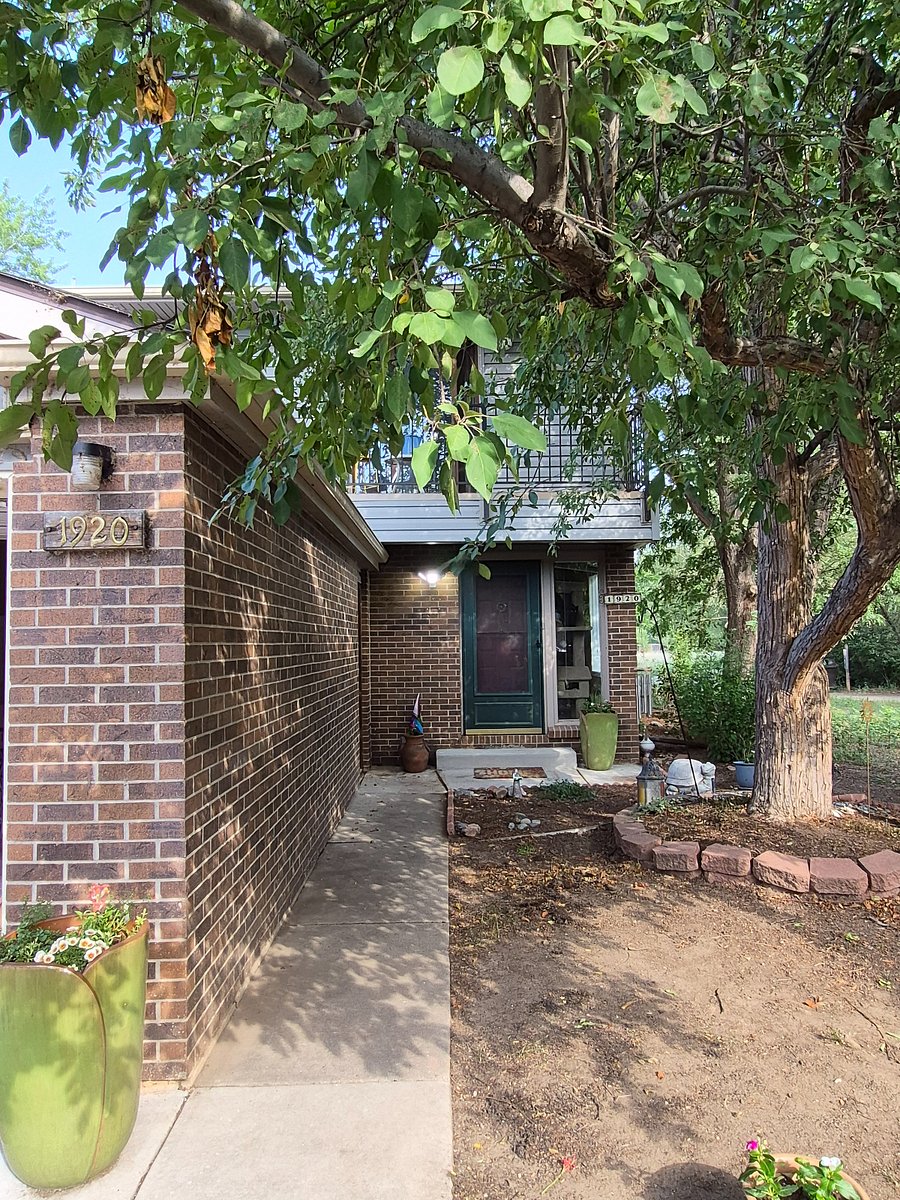 Giant trees provide ample share and keep the house cool