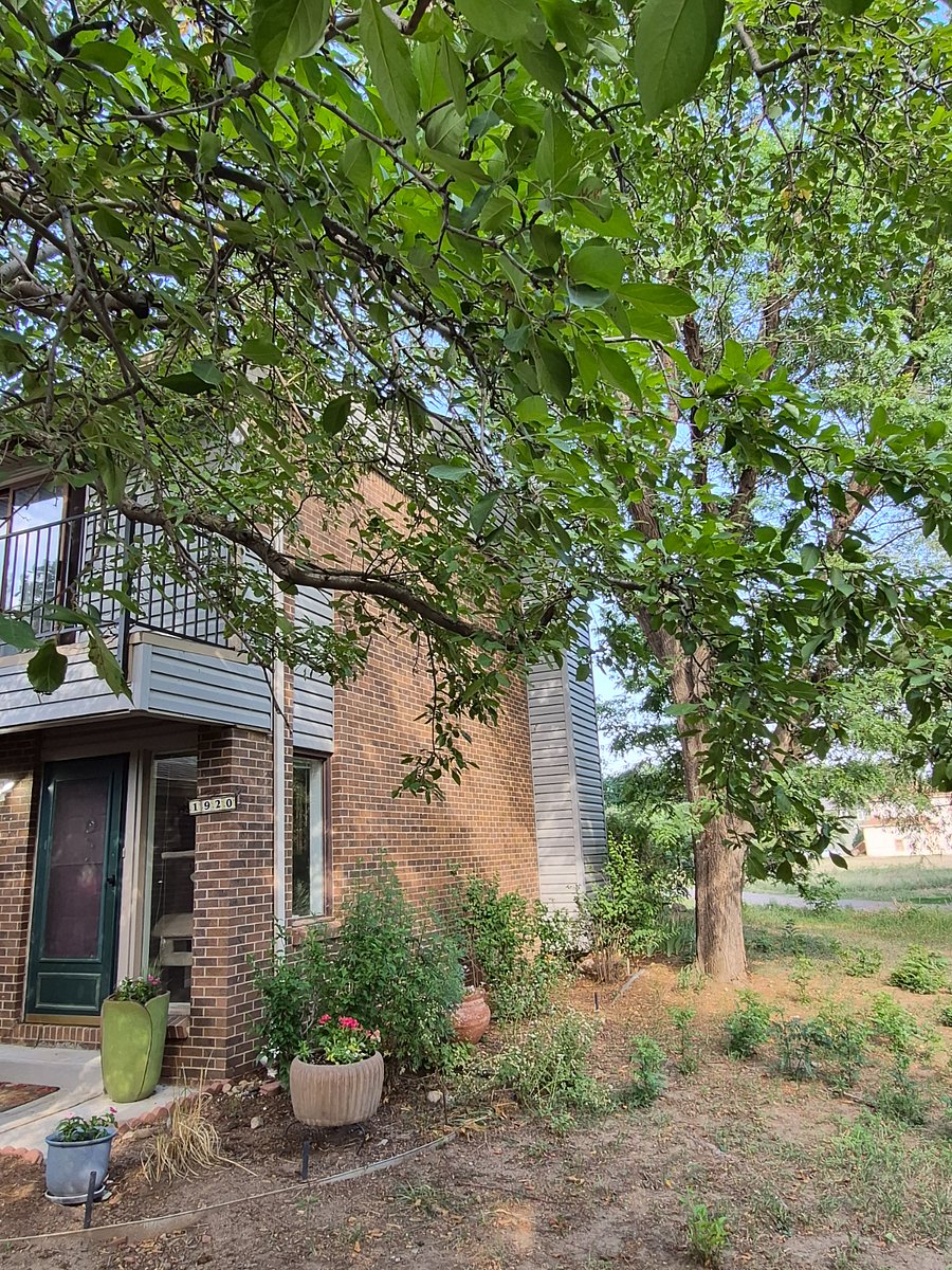 Furnished Finder property 1008248_1 photo 8