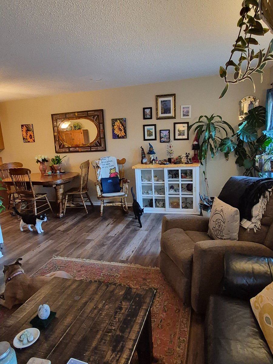 Furnished Finder property 1008248_1 photo 13