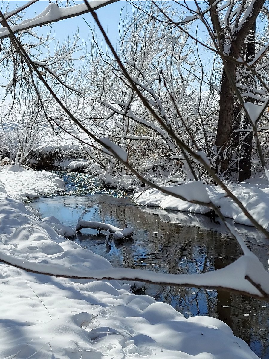 Coal Creek winter
