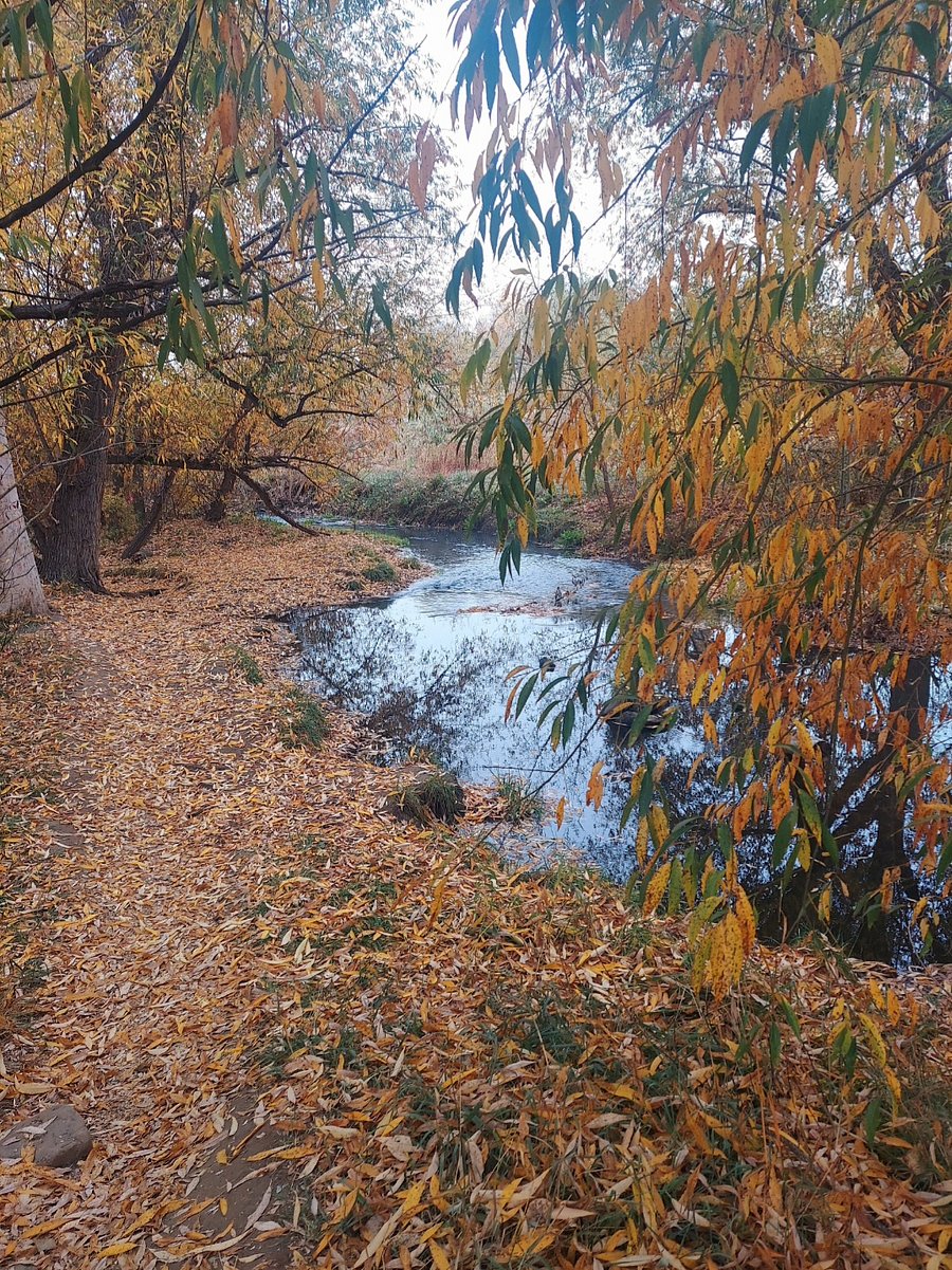 Coal creek in the autumn.