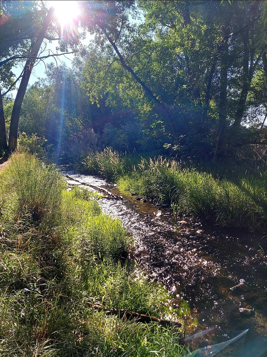 Coal creek, just outside the front door. You can hear the creek from your bedroom window.