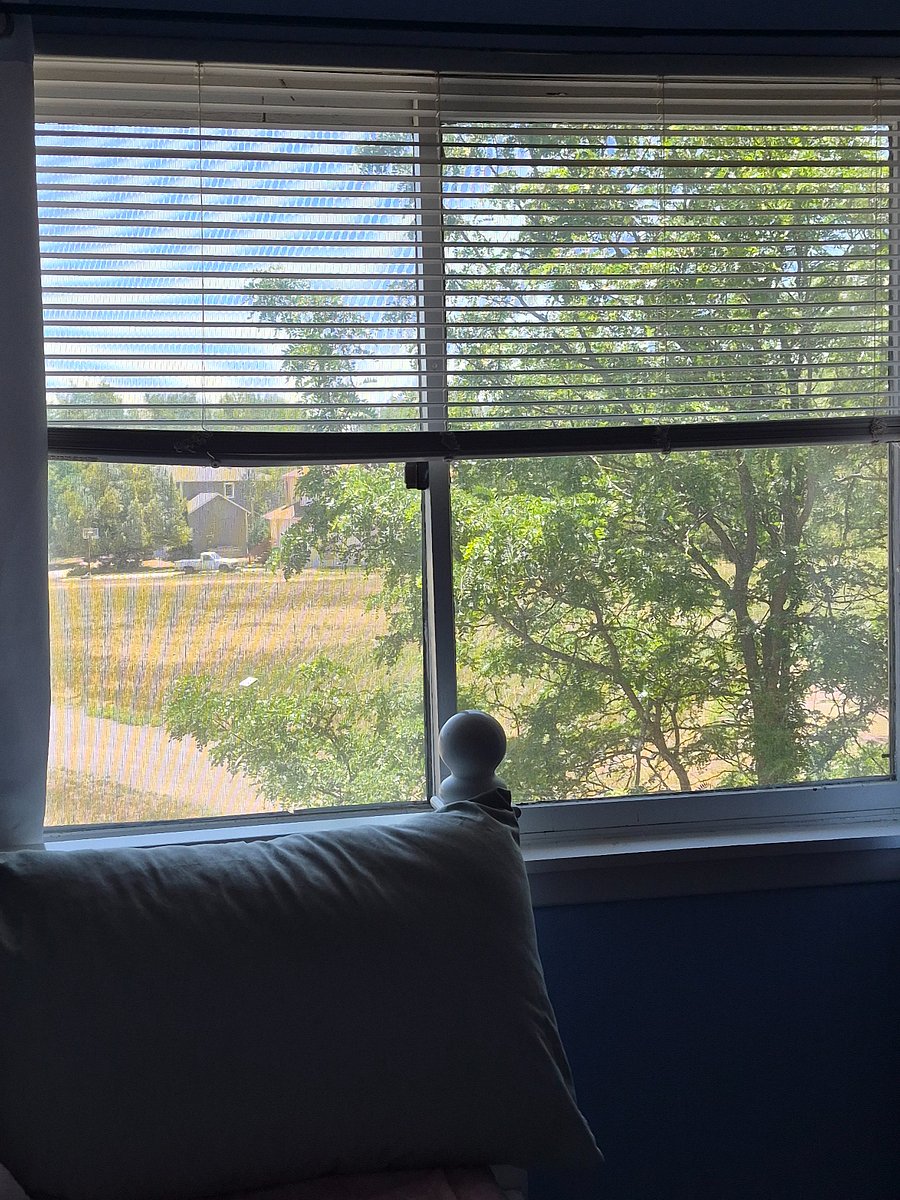 View from your bedroom window