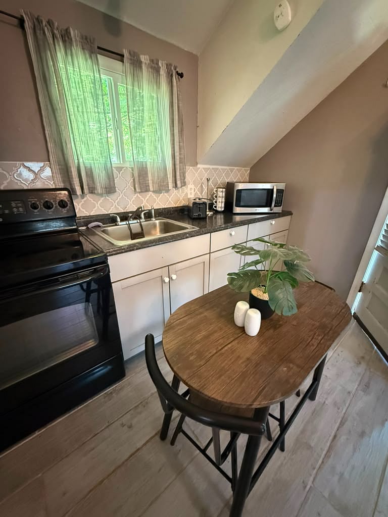 FURNISHED APT KITCHEN