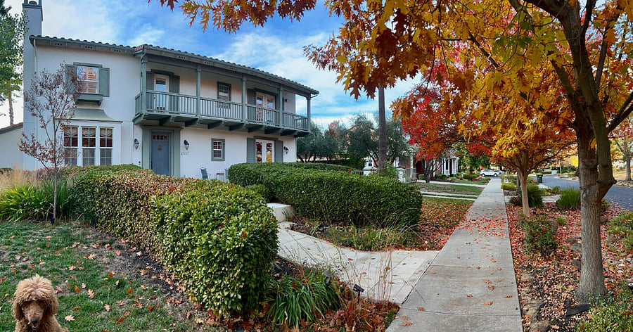 Furnished Finder property 1008281_1 photo 4
