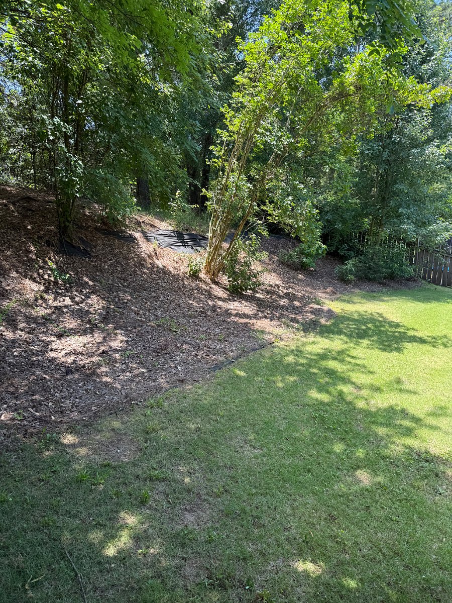Furnished Finder property 1008315_1 photo 12