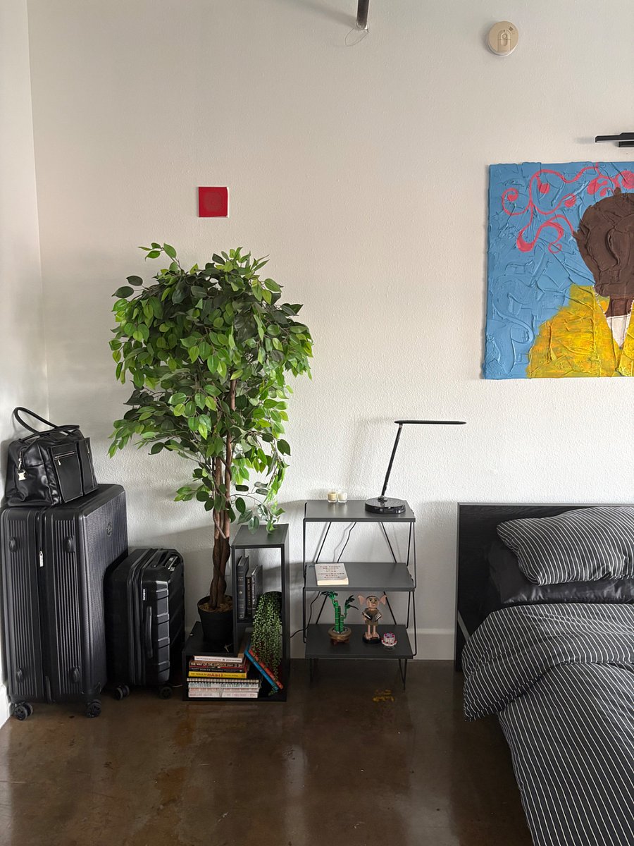 Furnished Finder property 1008318_1 photo 12