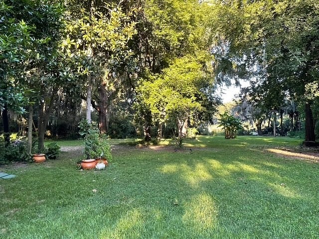 Furnished Finder property 1008332_1 photo 4