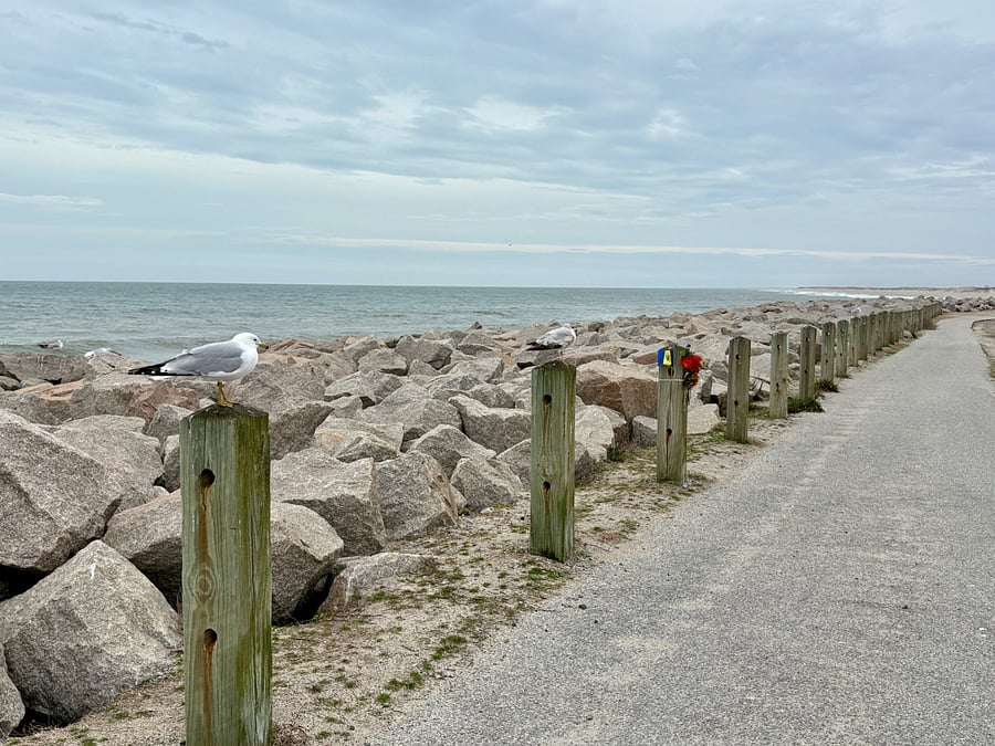 Ocean Walking Trail