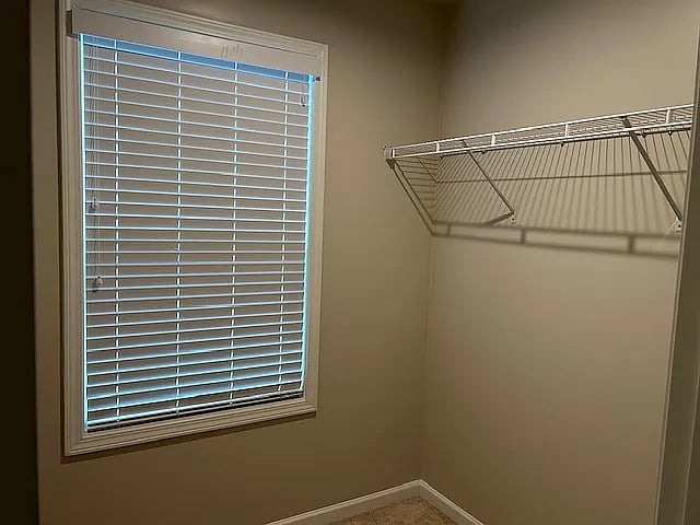 Furnished Finder property 1008401_1 photo 23