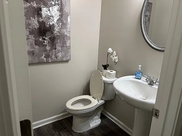 Furnished Finder property 1008401_1 photo 32