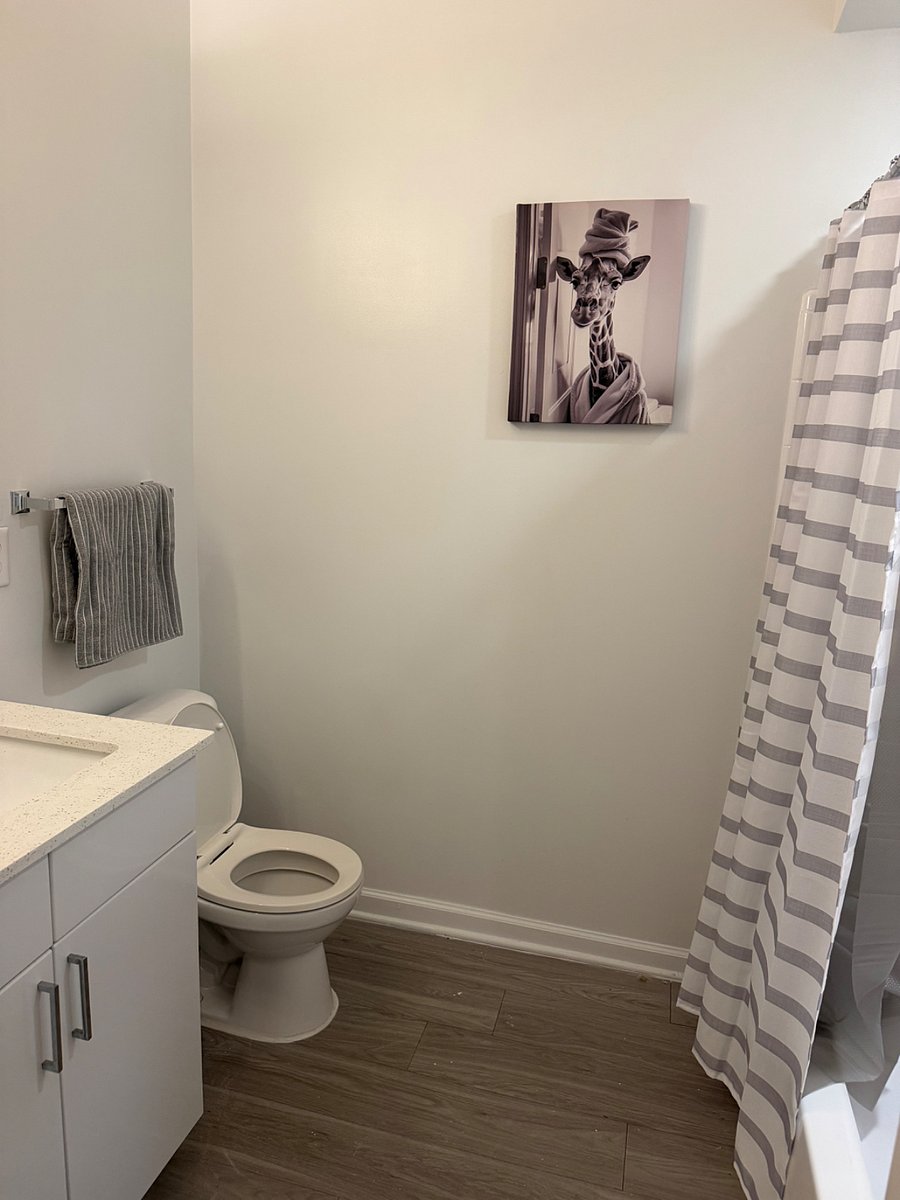 Furnished Finder property 1008462_1 photo 7
