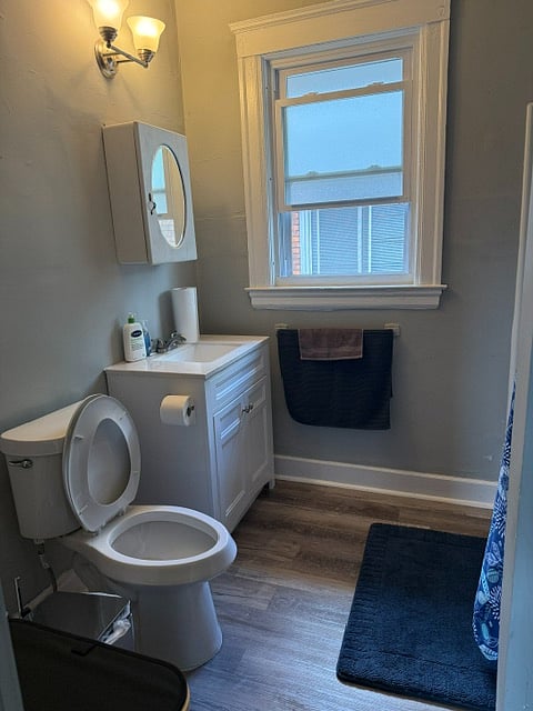 Furnished Finder property 1008516_1 photo 8