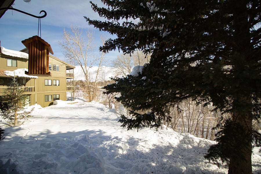 Furnished Finder property 1008562_1 photo 7
